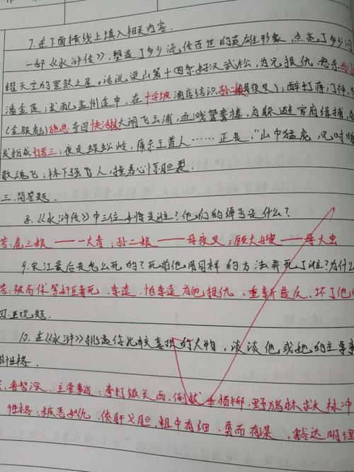 [2012年夏季论文]阅读“水浒传”_1500字