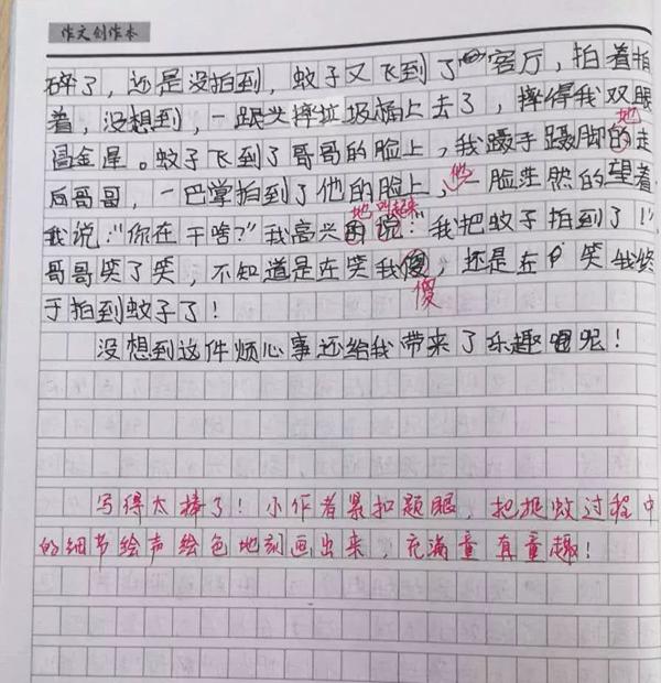 邦德学员优秀作文赏析12——《捉蚊趣事》 3