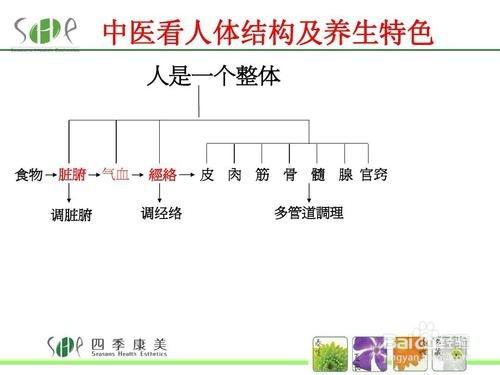 浅析器官移植技术和中医基础理论的关系论文 1