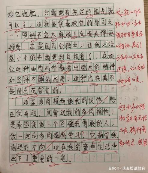 老师批改小学生作文：老师的字写得好，内容改得好，妈妈也被感动 5