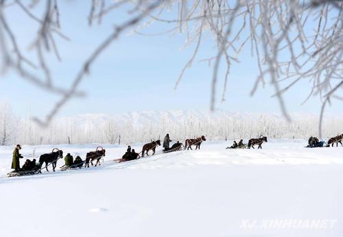 雪中拉爬犁 雪中趣事作文400字