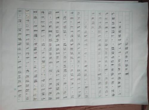 足球小子的作文450字