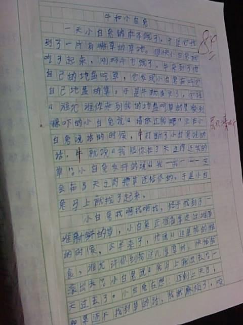 小兔子之死 五年级童话故事作文500字