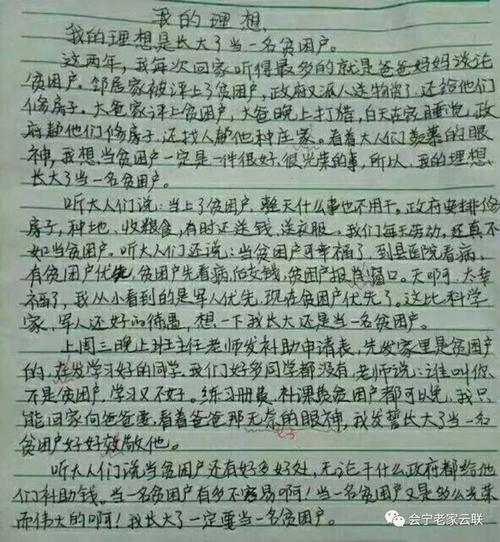 我想要当一个作家作文