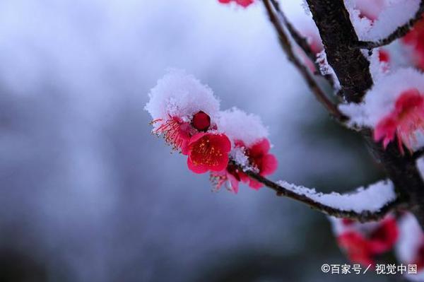 学习励志惜时语，作文写作好素材。关注收藏啦(50条)！ 2