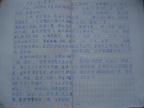 所见所闻作文600字