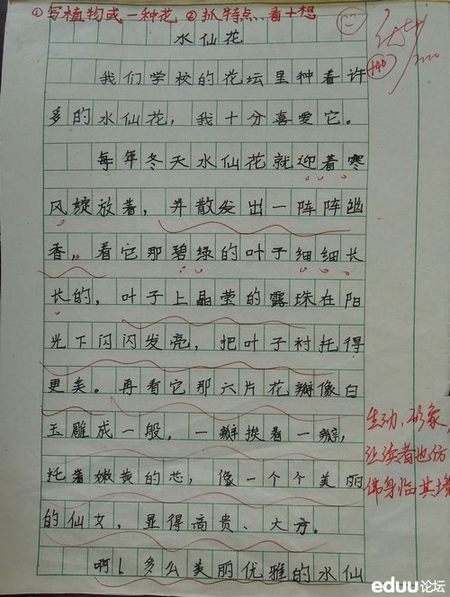 我的“小老师”姚宇澄 四年级写人作文300字