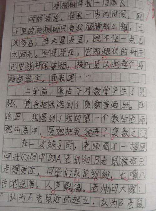 梧桐遍布的道路 初一作文500字