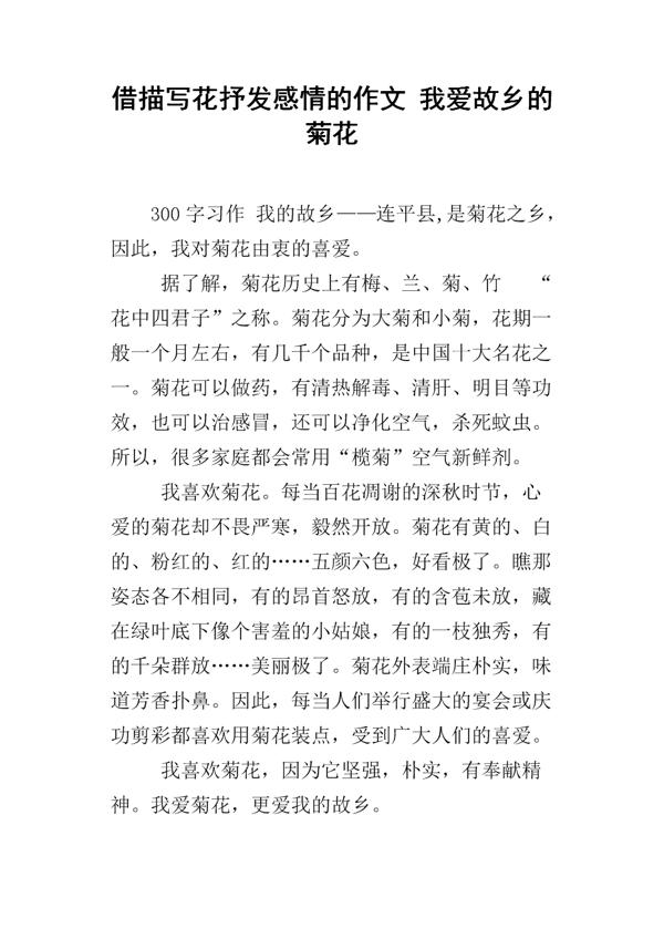 关于爱的精彩表达作文