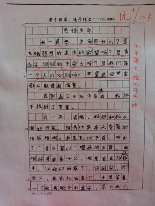 我的烟卡 天真的童年600字作文