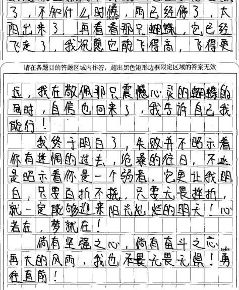2007芜湖中考满分作文赏析：风雨之后见阳光_1200字
