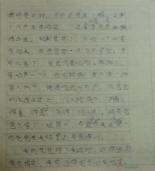 家有“最”老爸 我的爸爸作文700字