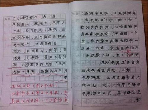 我的初中生活作文1200字