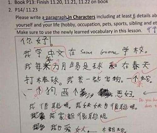 歪果仁的汉语作文让我找到了心理平衡，小学生作文即视感，好幼稚 3