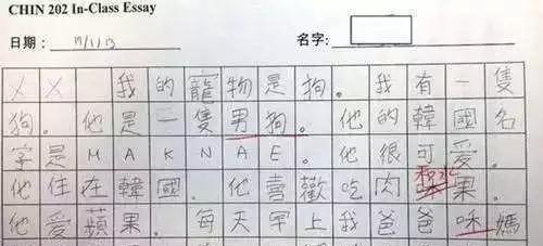 歪果仁的汉语作文让我找到了心理平衡，小学生作文即视感，好幼稚 5