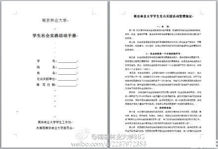 关于大学生社会实践报告范文