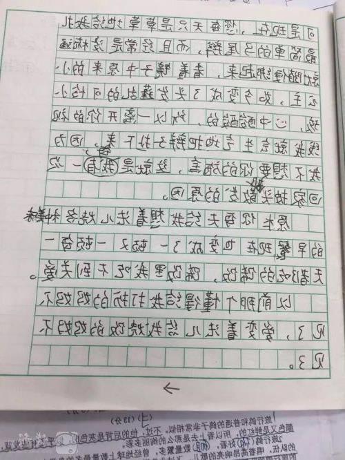 【怎样写作文】小学语文暑假观察作文范文19篇