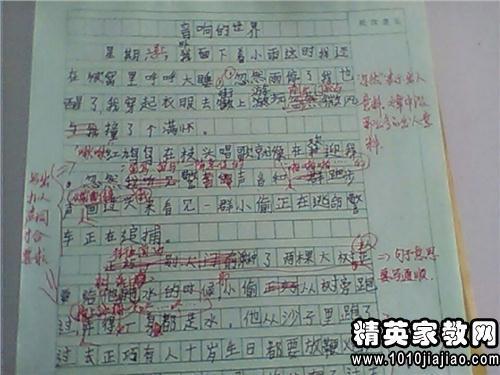 我在花季中考作文