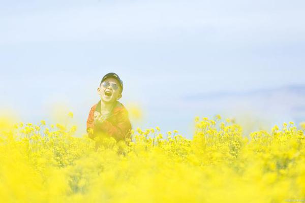 学生作文｜法与你我同在 2