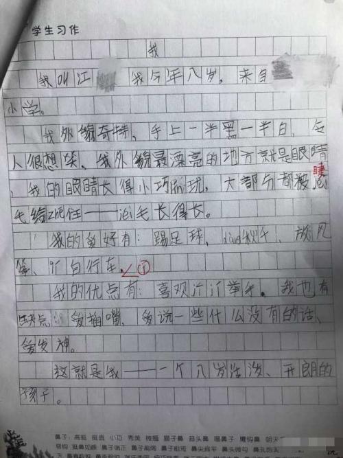 你是否了解我学生作文