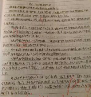 随感 关于学习的随笔作文800字