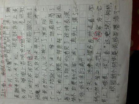 一个与众不同的我作文450字