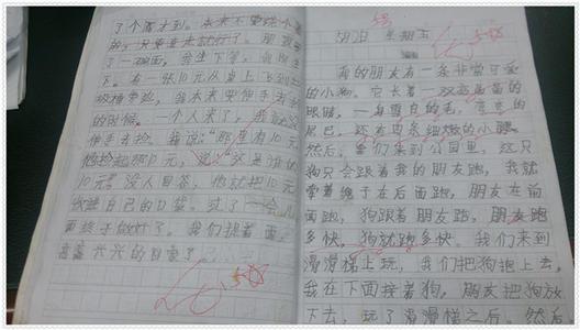 学车记 初中写事作文500字