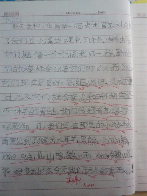 其实我很在乎 初中写事作文600字