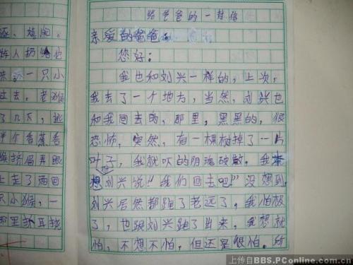 给爸爸的一封信 小学书信作文500字