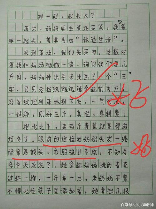 那一刻，我长大了 小学写事作文500字