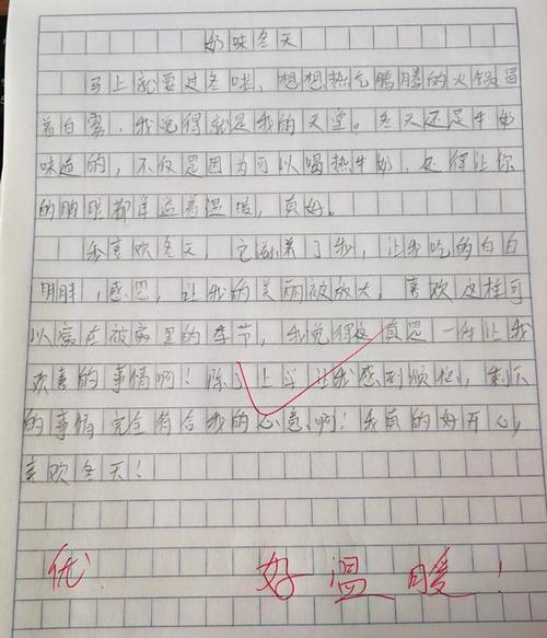 美丽快乐的冬天-小学生写景作文200字