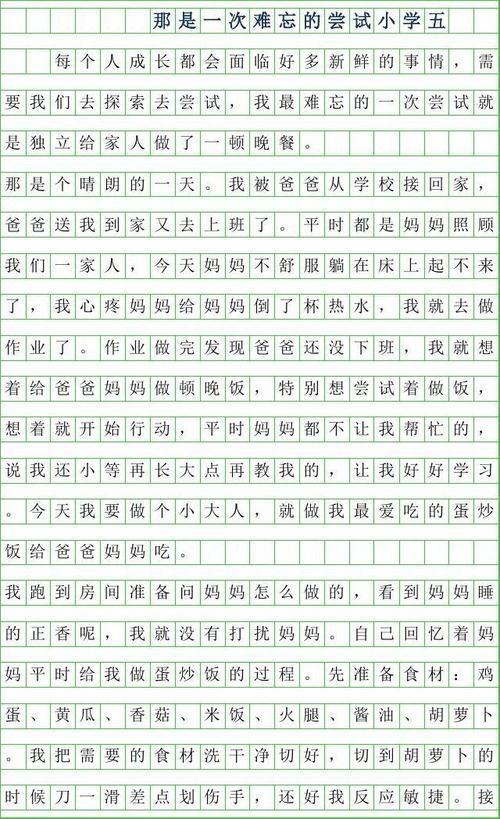 那是一次难忘的尝试作文300字