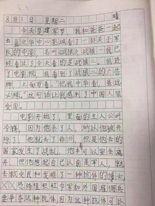 2018小学生影评作文：《战狼2观后感