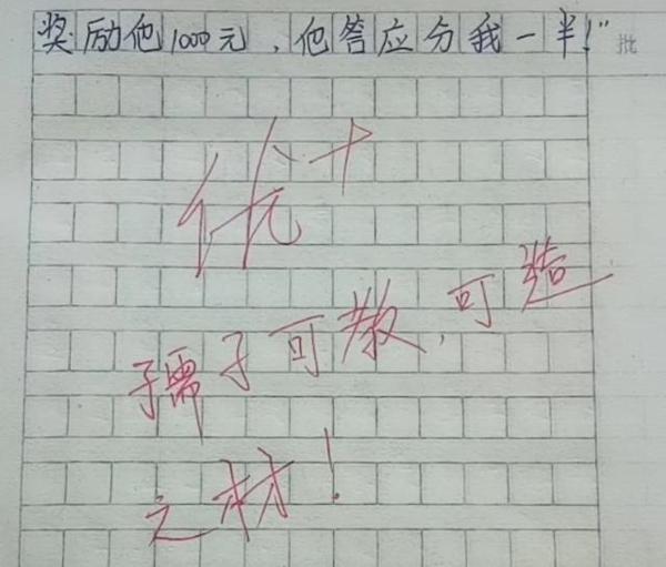 小学生作文《怀孕》火了，老师称其责任感强，网友感叹“萌翻了” 1