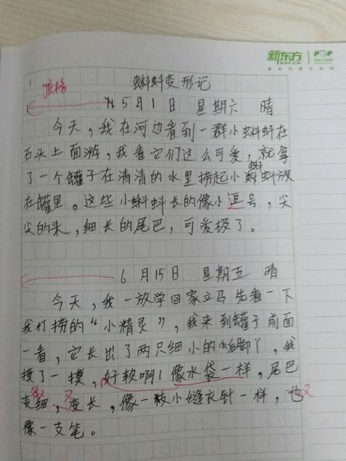 变形记六年级作文素材