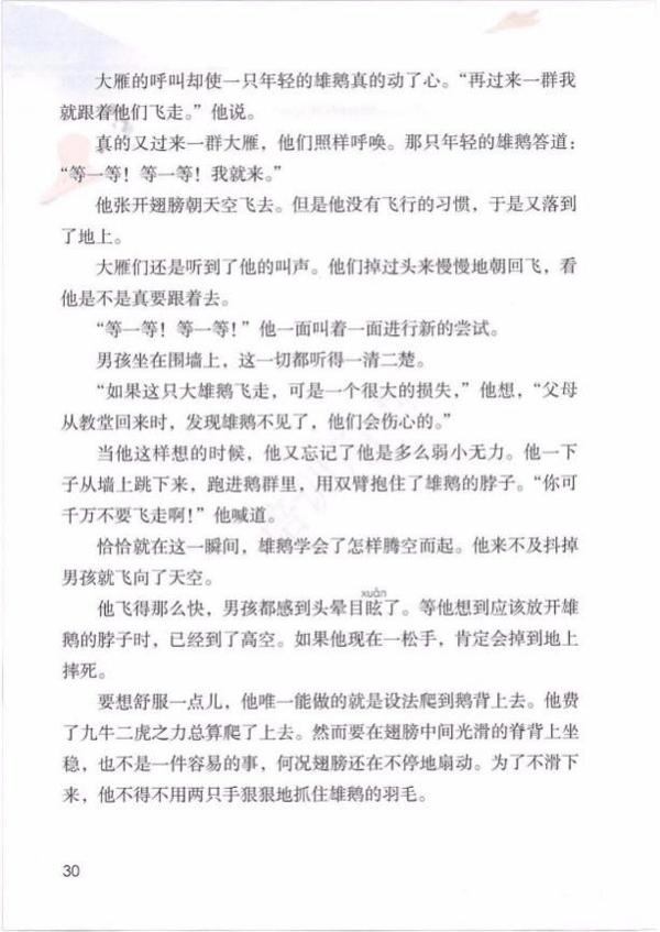 【小中衔接】六下第二单元作文读写专项练习 8