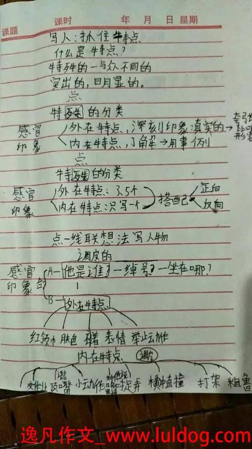 这就是我-小学写人作文550字