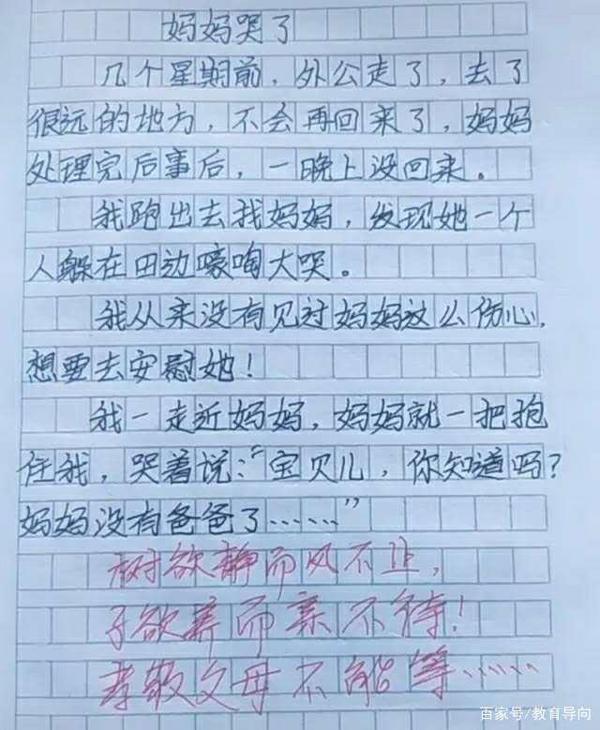 小学生的“奇葩”作文，老师拍手叫好，网友：这就是段子！ 3