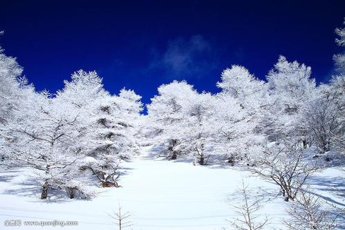 雪 现代诗一首