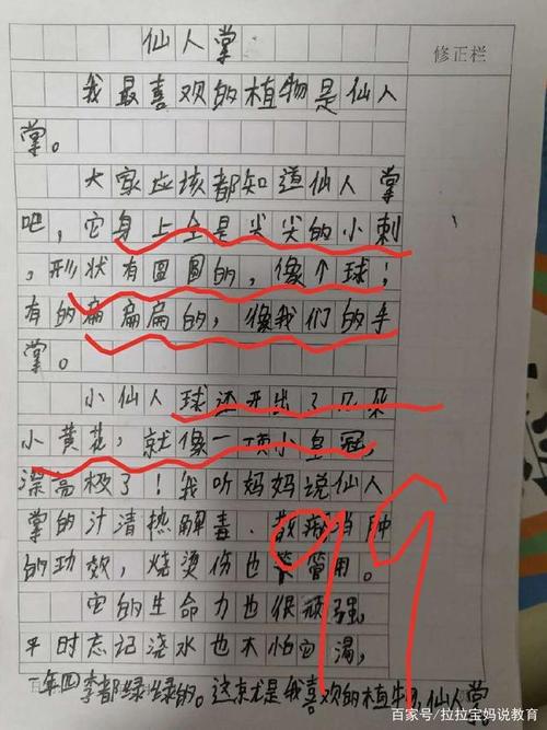 仙人球赞的作文650字