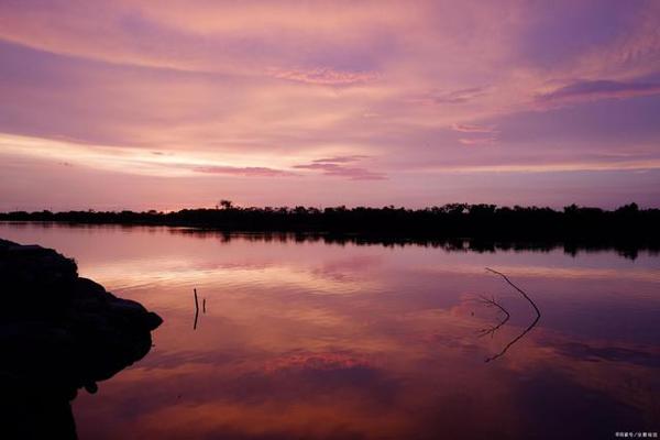 写景作文：迷人的牡丹湖