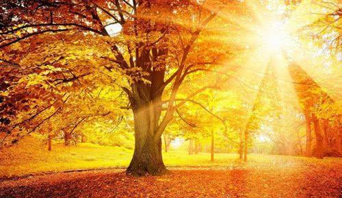 描写秋日阳光的优美段落
