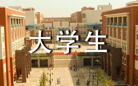 大学计算机专业大学生毕业总结-工作总结