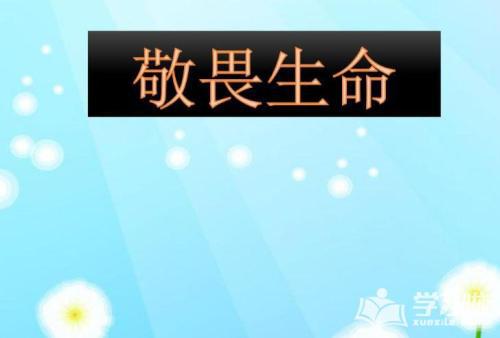 关于敬畏生命的作文500字