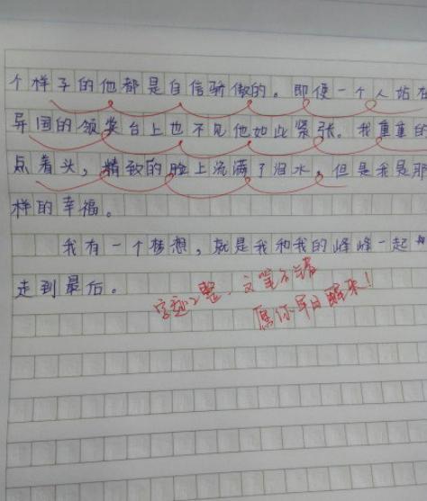 李易峰被初中生写进作文，老师的“评语”引起热议 4
