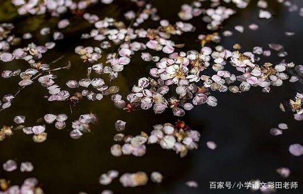 以前老发愁，从那次后，老师家长都夸这个女孩作文开了窍 3