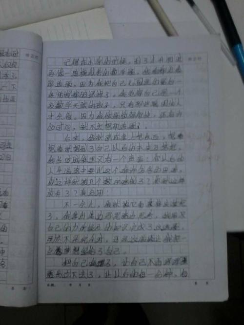 关于诚信的作文：扬诚信风帆_1200字