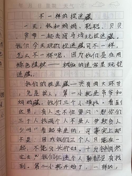 开心的捉迷藏-有趣的游戏作文300字