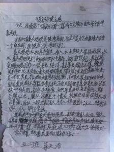 《彼岸，彼岸》读后感 初中读后感1000字