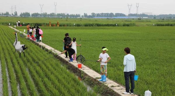 全景呈现：方正县首届稻作文化节盛大开幕！ 13